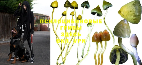 прущие крисы Беломорск